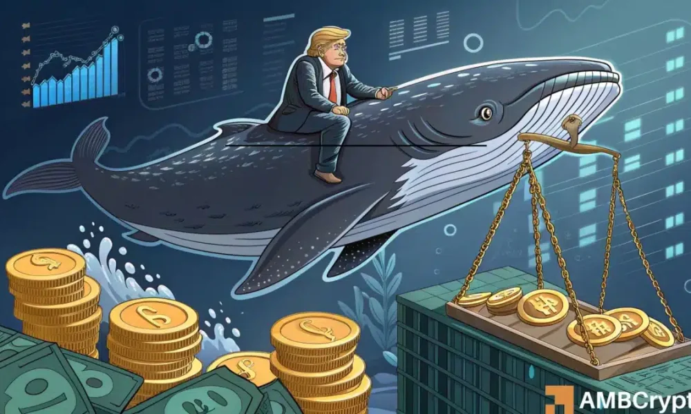 Future of WLFI Growth Driven by Whale Accumulation and Stablecoin Expansion