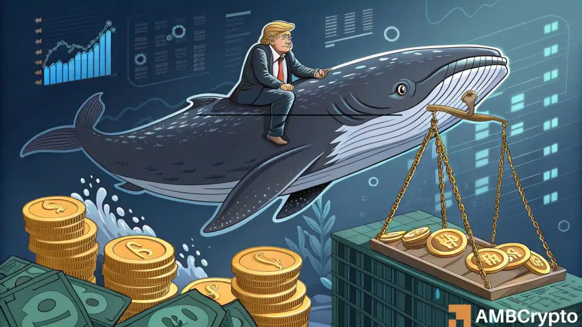 Future of WLFI Growth Driven by Whale Accumulation and Stablecoin Expansion