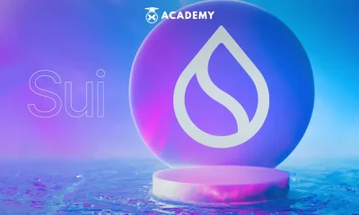 Market Pattern Reversal